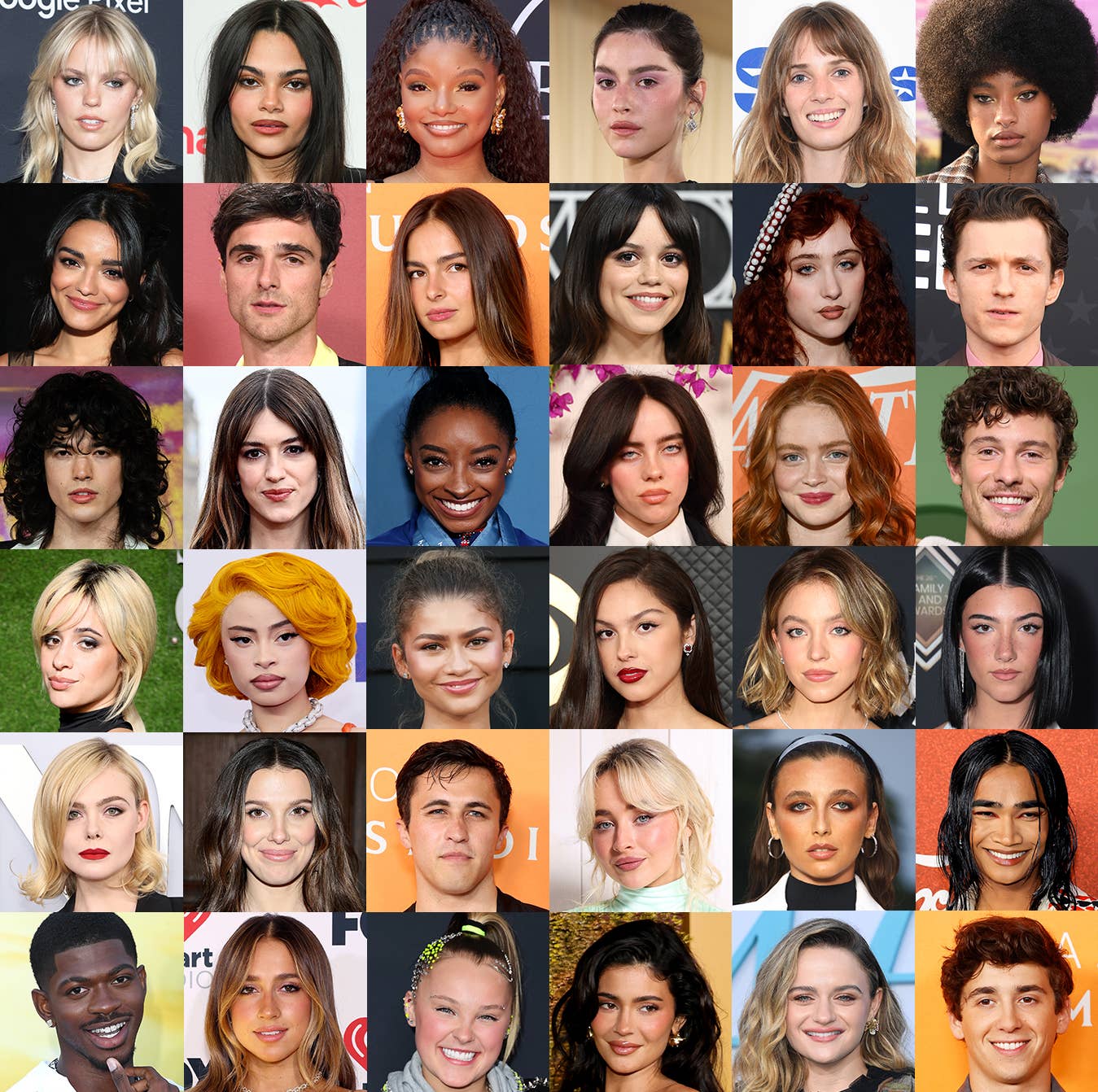 Celebrity Animal Lookalikes